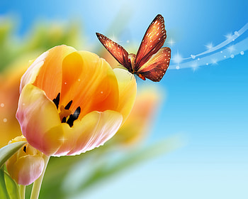 Tulips, tulip, beautiful, spring, beauty, butterfly, pretty, spring time, spring flowers, nature, flowers, lovely HD wallpaper