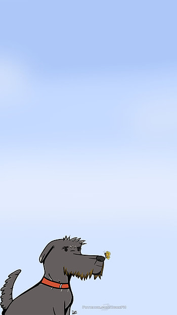 Blacky, Animal, dog HD phone wallpaper