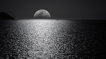 White Black Moon Evening Night Time Seascape , moon, evening, seascape, night, nature, monochrome, black-and-white HD wallpaper