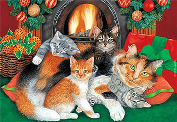 By Avril Haynes, kitten, family, christmas, avril haynes, cat HD wallpaper