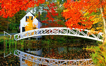 Autumn countryside, house, colors, beautiful, reflection, branches, bridge, autumn, road, nature, forest, countryside, pond, foliage HD wallpaper
