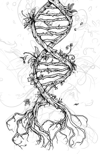 Organic art, Nature-inspired designs, Science illustrations, Beautiful line art HD phone wallpaper