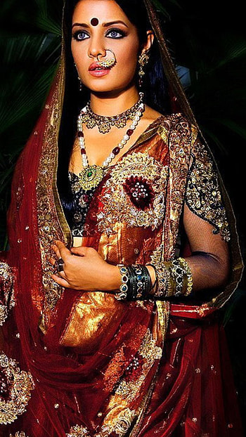 Celina Jaitley, bollywood actress, traditional HD phone wallpaper
