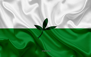Flag of Vaupes Department, , silk texture, Vaupes Department, Vaupes, Colombian Department, Vaupes flag, Colombia HD wallpaper