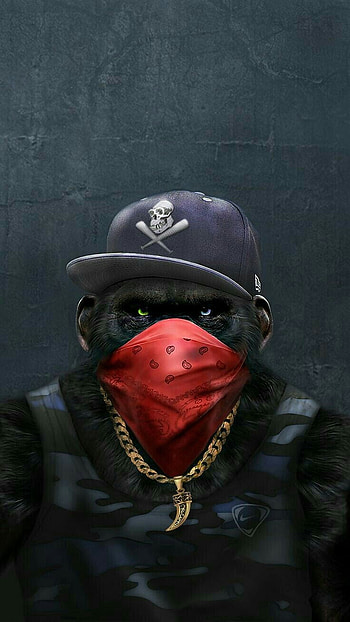 Swag Monkey, cap, sports gear HD phone wallpaper