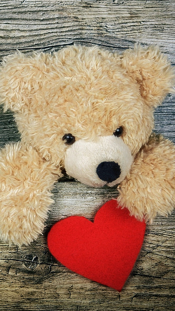 Cute Teddy Bear, Love Background HD phone wallpaper