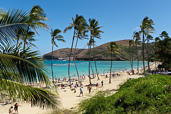 10-day Hawaii itinerary, Exploring Maui, Kauai, Oahu, Island hopping adventure HD wallpaper