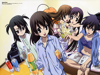 scool days, other, cool, girls, anime HD wallpaper