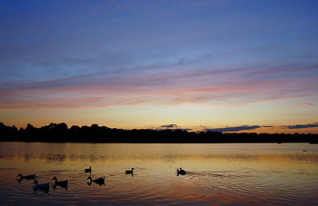 Fallstownship Park Lake, lakes, sunset HD wallpaper