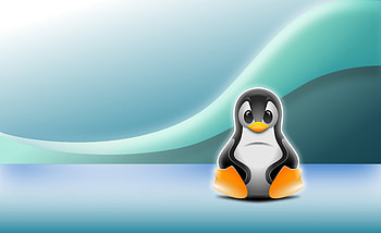 Tuxs Feud, Linux, mascot, computer, penguin HD wallpaper