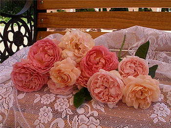 Colorful Roses, rose, branches, orange, yellow HD wallpaper