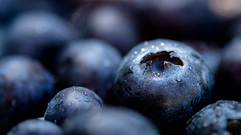 Blueberries, fresh, drops, close up HD wallpaper