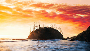 Sunset long exposure, Trinidad State Beach, California, usa, sea, colors, clouds, trees, sky, rocks HD wallpaper
