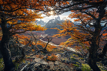 Beautiful Autumn Colours In Patagonia , autumn, nature, forest, mountains HD wallpaper