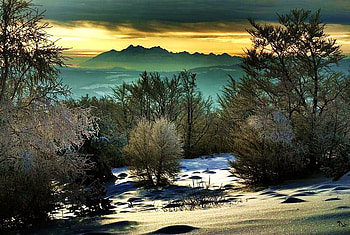 Winter calm, frost, light snow, trees, peaceful, yellow and aqua sky, mountains, rocks HD wallpaper
