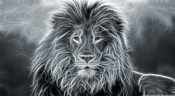 Lion, animal, fractal, king HD wallpaper