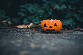 A small jack-o'-lantern sits on a path surrounded by leaves, perfect for fall and Halloween themes. HD wallpaper
