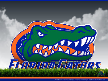 Florida Gators - Field View | GatorPaper - Sports . HD wallpaper
