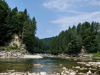 Plants, Landscape, Rivers, Trees, Stones, Sky HD wallpaper