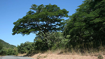 Magisches Malawi, Selbstfahrer, 14 Tage, Fr HD wallpaper