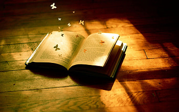 Bookworm's paradise, Literary escapes, Story-filled pages, Endless adventures HD wallpaper