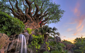 Disney Resort, Nature, Resort, Disney, tree HD wallpaper