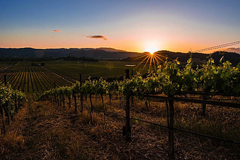 Napa Valley, J Moss, Wine region guide, Napa Valley HD wallpaper