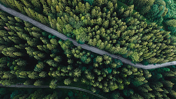 Nature, View From Above, Road, Forest, Car, Fir, Spruce, Machine HD wallpaper