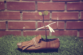 Grass, Plant, Miscellanea, Miscellaneous, Wall, Boot HD wallpaper