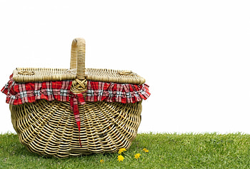 Picnic scene, , Music, Food HD wallpaper