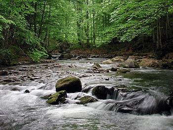 Landscape, Water, Rivers, Trees, Stones HD wallpaper