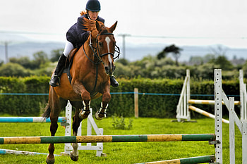 Jump racing, Equitation HD wallpaper