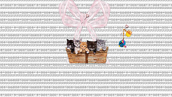 A basket of lovely kittens, basket, animals, pets, cats, babies, nature HD wallpaper