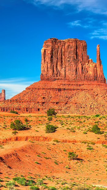 landscape, desert, Arizona, USA, nature HD phone wallpaper
