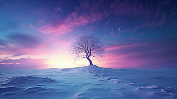 Snow Tree , snow, tree, nature HD wallpaper