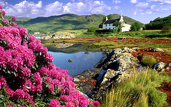 beautiful scotland, flowers, scotland, house, lake HD wallpaper