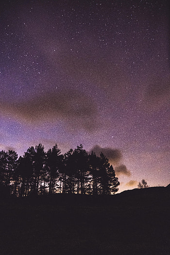 Trees, Night, Dark, Silhouettes, Starry Sky HD phone wallpaper