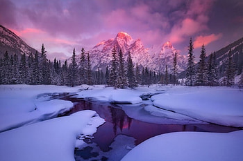 Nature, cold, winter, snow HD wallpaper