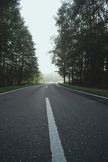 Nature, Trees, Road, Turn, Asphalt HD phone wallpaper