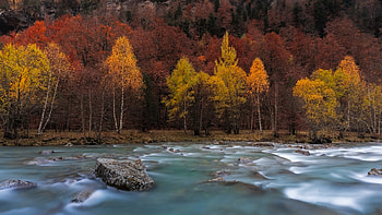 Ordesa y Monte Perdido National Park, river, nature, tree HD wallpaper