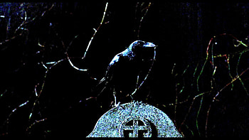 ... and background; the crow action fantasy dark gothic brandon lee crow 11 ... HD wallpaper