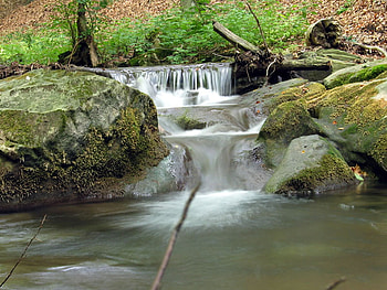 Stream and Mossy Rocks, moss, green, grass, clear, water, rocks HD wallpaper