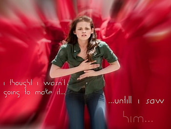 New Moon Bella, volterra, new moon, twlight, quoted, voltori, bella HD wallpaper