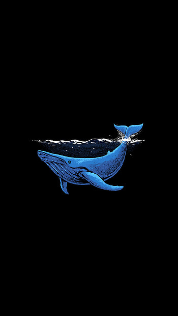 Amoled minimalist , Whale Minimalist HD phone wallpaper
