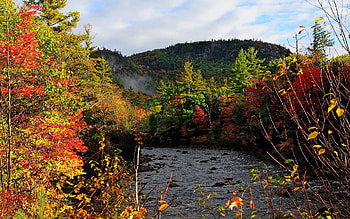 Nature, Rivers, Trees, Autumn, Forest HD wallpaper