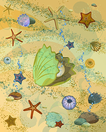 Art, Bubbles, Underwater World, Pearl, Shell HD phone wallpaper