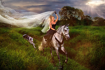 :), dog, horse, model, cowgirl, girl, bride, woman, caine HD wallpaper