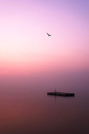 Birds, Lake, Pier, Fog, Minimalism HD phone wallpaper