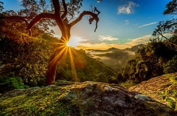 Morning rays, rays, morning, sunlight, glow, beautiful, sunrise, mountain, valley, shine, trees, sky HD wallpaper