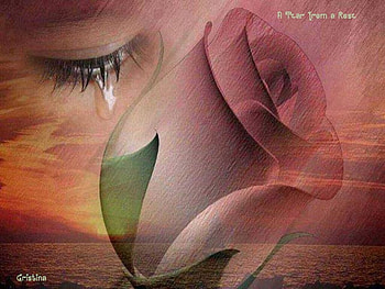 A Tear From A Rose, sea, tear, lady, Rose HD wallpaper